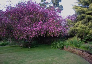 The Lodge Country House