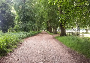 THE LODGE, with a garden in Old Buckenham
