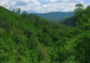 The Mallard - 3 Bedrooms, 3 Baths, Sleeps 10 by RedAwning