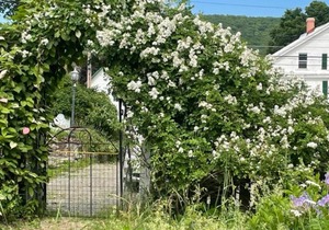 The McIndoe Falls Inn
