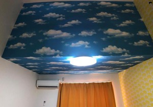 The Mickey Carlton Ohashi 207