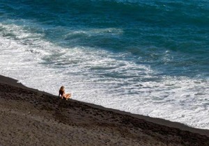 THE POPPIES Guest House - 100m Ocean - Private Spaces