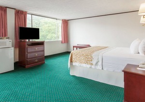 The Schenectady Inn & Suites