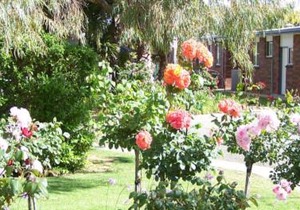 Tocumwal All Seasons Motel
