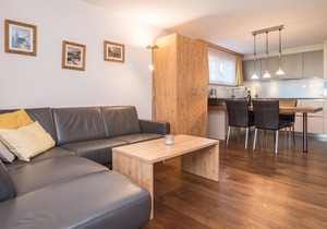 Top apartment Breithorn (SkiIn/SkiOut)