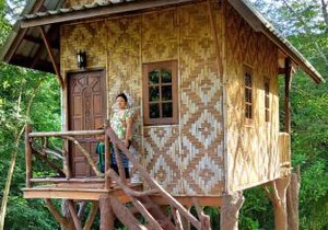 Treehouse Holidays-Family house
