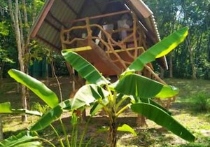 Treehouse Holidays-Open house