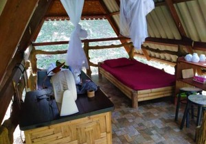 Treehouse Holidays-Open house