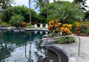 Tropical Serenity at Palm Villas Unit I-2