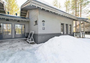 Tunturipöllö 2