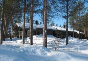 Tunturipöllö 3