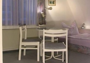 Twin room in a villa in Loschwitz