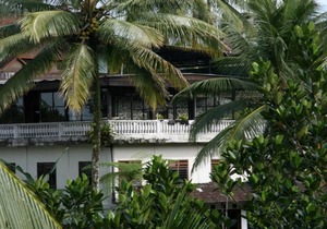Ubud Rice Terrace - Jungle/rainforest view