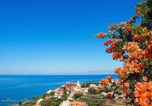Unit With Private Pool And Sea Views At Hub Of The Village, Biologic Cropland