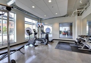University Sanctuary + Gym
