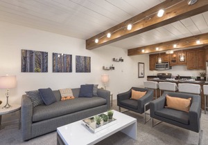 Updated 2 BR in the Heart of Aspen - Pool & Hot Tub