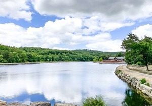 Updated Branson Cabin by StoneBridge Lake!