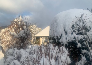 Vacation home in top location