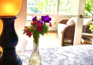 Vegan Palace Suite @ Aloha Boutique Hotel / Alchohol-free, smoke-free