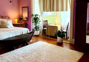 Vegan Palace Suite @ Aloha Boutique Hotel / Alchohol-free, smoke-free