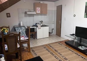 Vila Lenka Sokobanja