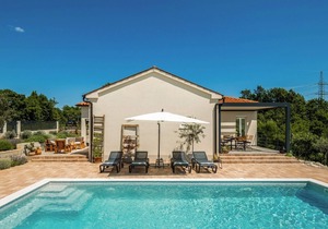 Villa Bogondon with private pool near Labin