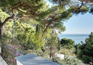 Villa Bougainvillea - Luxury Capri Villa with Views