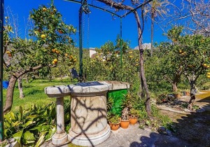 Villa Florida