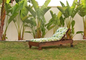 Villa Isabelita