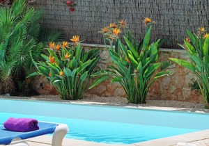 Villa Miguel Angel - Three Bedroom Villa, Sleeps 6