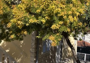 VILLA RADOŠ-2. Floor: Modern, comfortable, big 4-room-flat 120 qm, category *