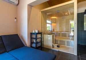 Villa with private pool, sauna, HotTub, SPA area, pool table, table tennis.