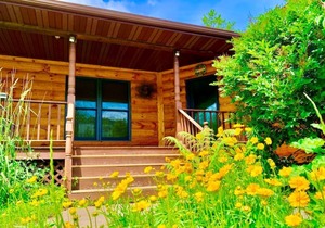 Village Creek Lodge - w/ hot tub