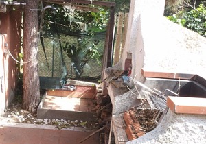 Villetta in the green near beach Renovated villa with garden 350 square meters quiet comfortable in the green of nature 200 meters from the beach of Giannella.