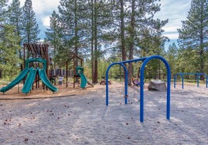 Vine Maple - Unit 30