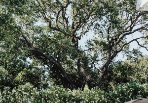 Vinland Hotel and Lounge