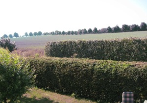 Vogelsang