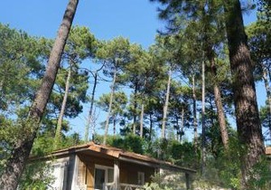 VVF Landes Moliets