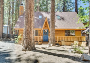 Walk to Snow Summit! Cabin Near Chairlift/Shuttle