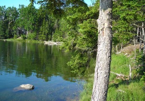 Waterfront Cottage with gorgeous sunset view
