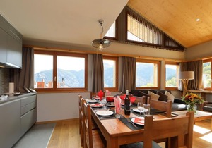 Wifi, 250m from resort center, sauna, hammam, tv, ski locker, 55m², Vercorin