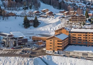 Wifi, 250m from resort center, sauna, hammam, tv, ski locker, 67m², Vercorin