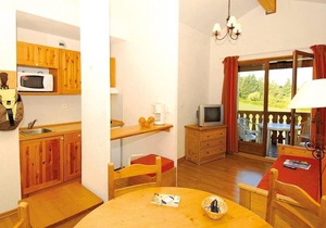 Wifi, fitness, swimming pool, terrace, parking, tv, 50-53m², Thollon les Mémises