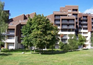 Wifi, ski-in/ski-out & foot of the slopes, 1st floor, balcony, tv, ski locker, 24m², Villard de Lans