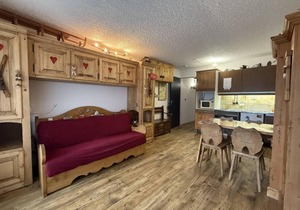 Wifi, ski-in/ski-out & foot of the slopes, 2nd floor, balcony, tv, 29m², Villard de Lans