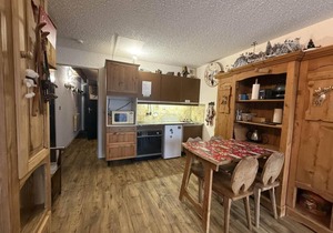 Wifi, ski-in/ski-out & foot of the slopes, 2nd floor, balcony, tv, 29m², Villard de Lans