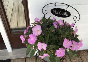 Williston Village INN- Suite r . for 4 people