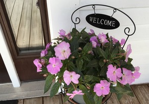 Williston Village INN- Suite r . for 4 people