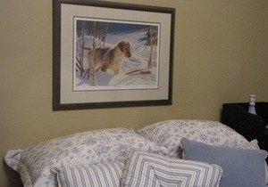 Willow Pond Satellite Bed And Breakfast