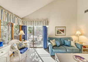 Windswept Woodlands 4338